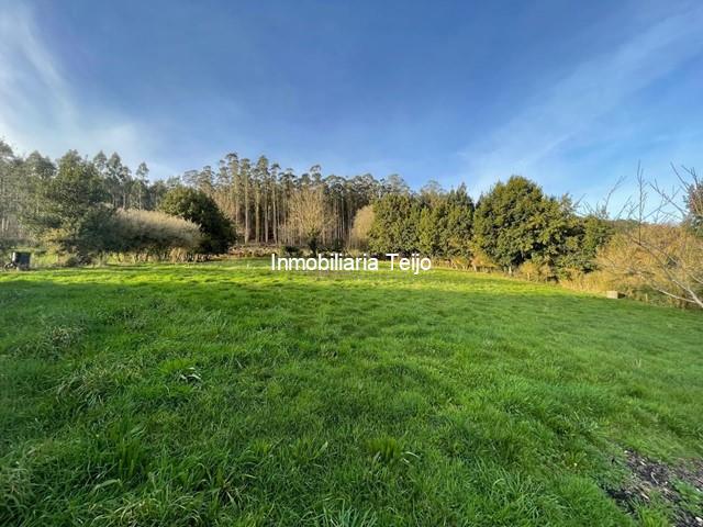 FINCA URBANA EDIFICABLE EN MOECHE CON BODEGA EN BUEN ESTADO DE 135M2