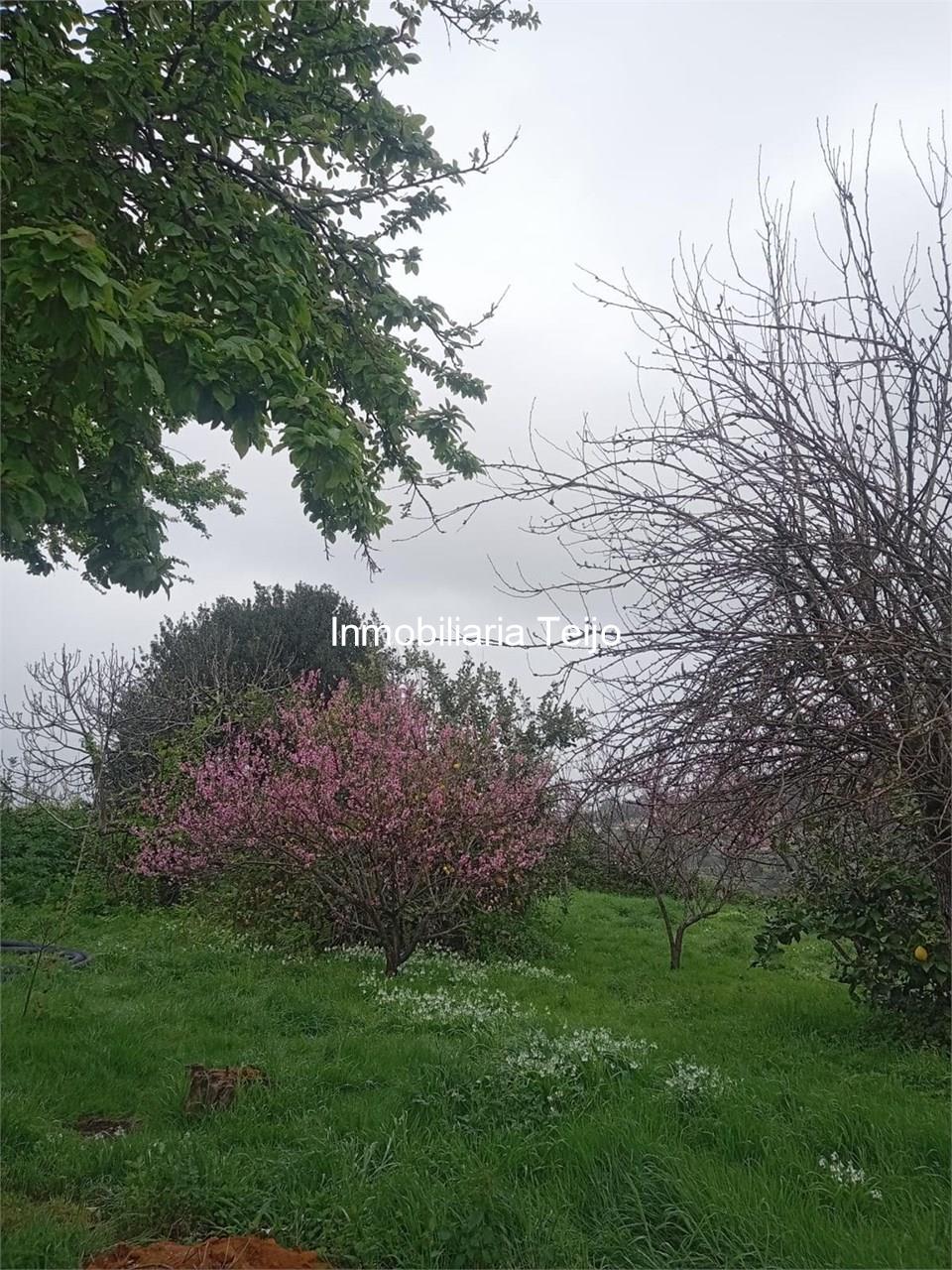 Foto 26 SE ALQUILA CASA EN DONIÑOS - ALQUILER VACACIONAL 