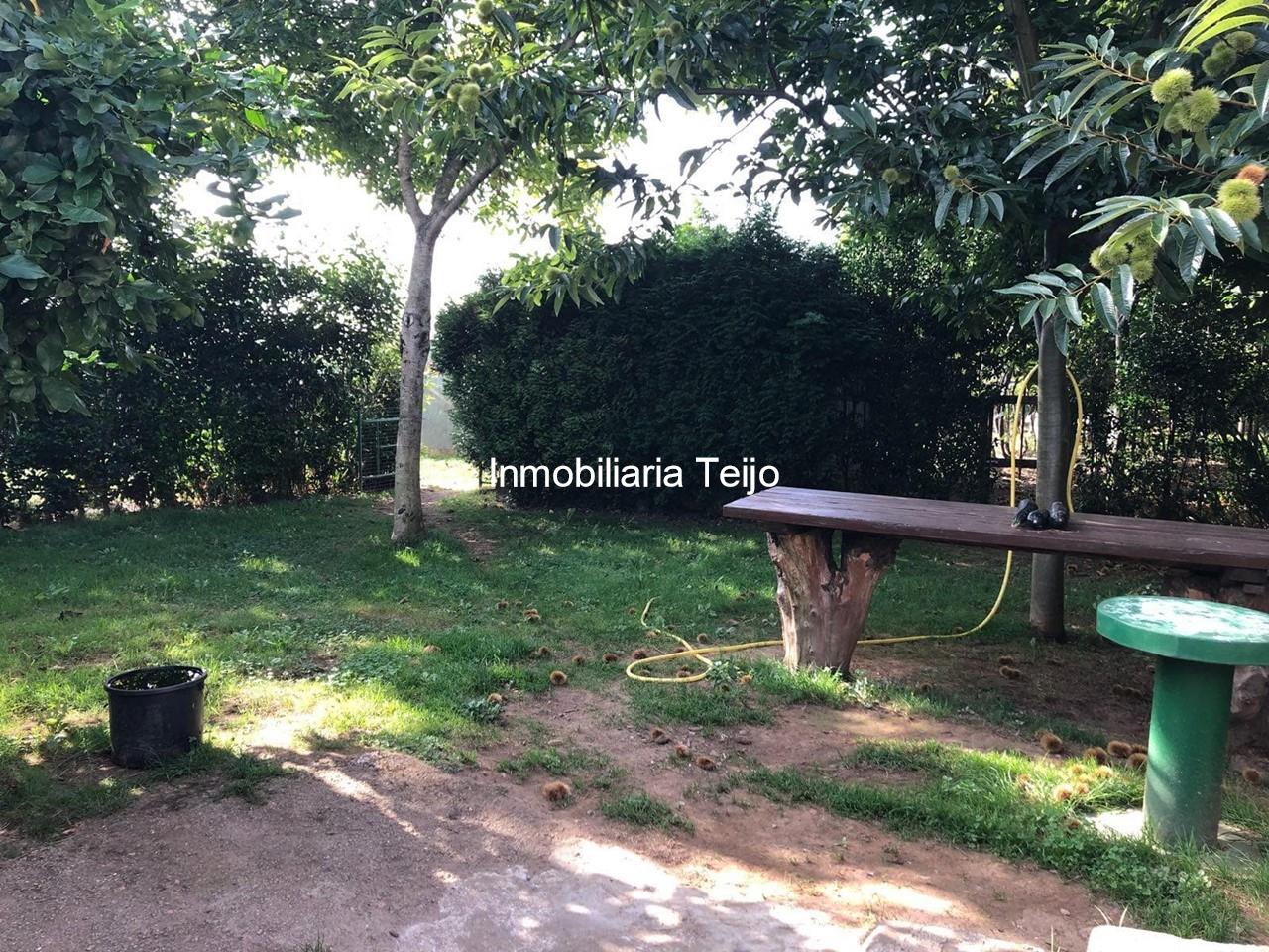 Foto 10 SE VENDE BAJO CON FINCA