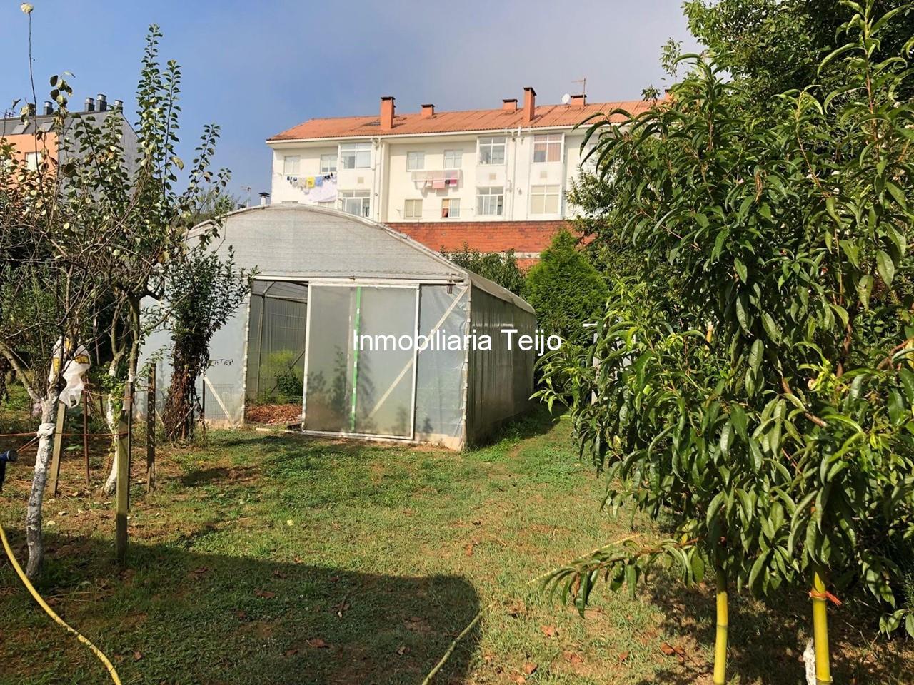 Foto 7 SE VENDE BAJO CON FINCA