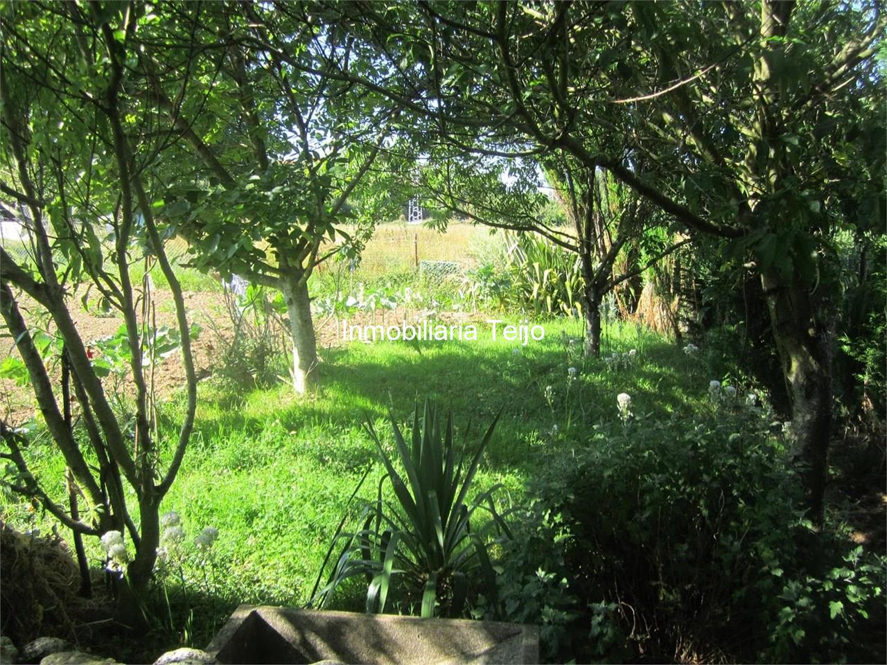 Foto 12 SE VENDE BODEGA CON FINCA EN CATABOIS