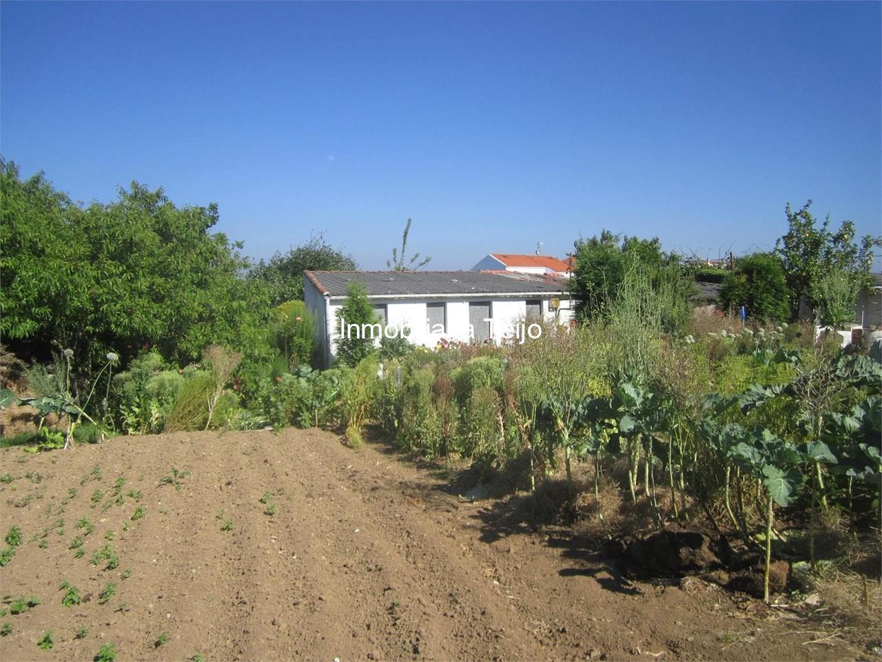 Foto 1 SE VENDE BODEGA CON FINCA EN CATABOIS