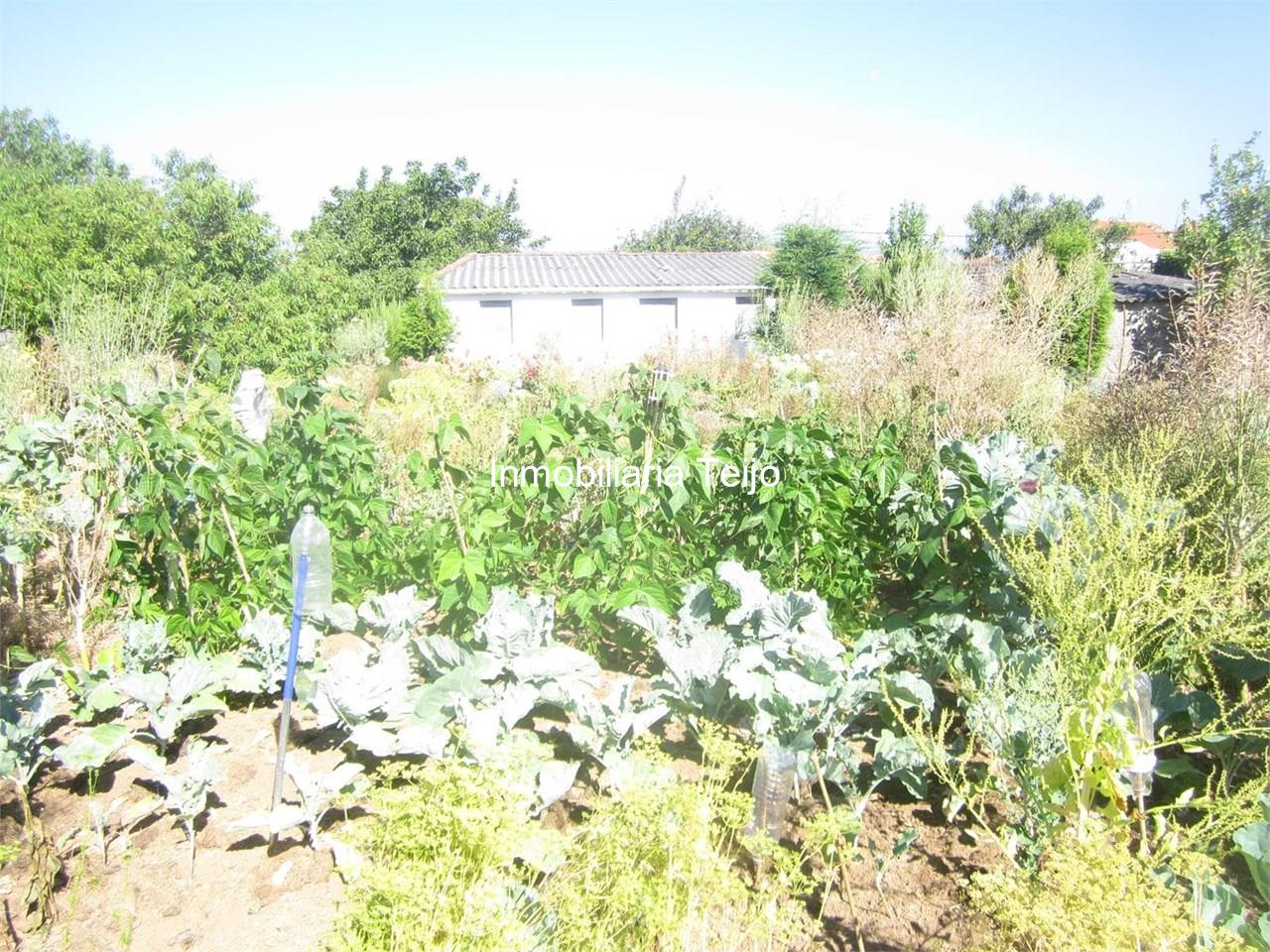 Foto 2 SE VENDE BODEGA CON FINCA EN CATABOIS