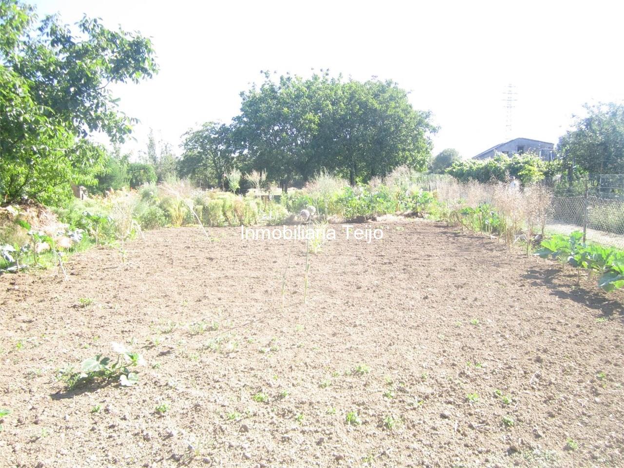Foto 3 SE VENDE BODEGA CON FINCA EN CATABOIS