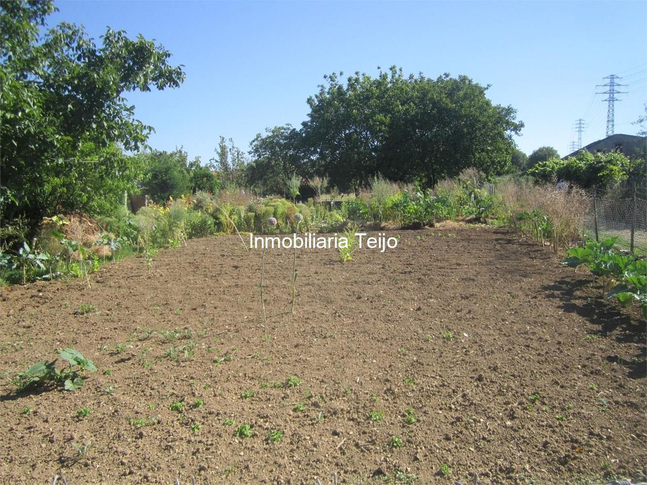 Foto 4 SE VENDE BODEGA CON FINCA EN CATABOIS