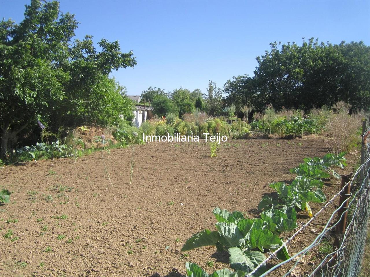 Foto 5 SE VENDE BODEGA CON FINCA EN CATABOIS