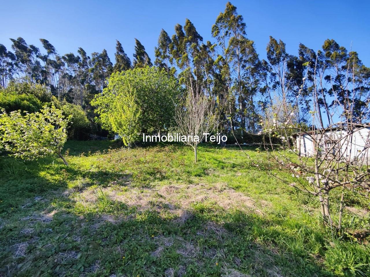 Foto 12 SE VENDE CASA ADOSADA CON FINCA Y BODEGAS EN CEDEIRA