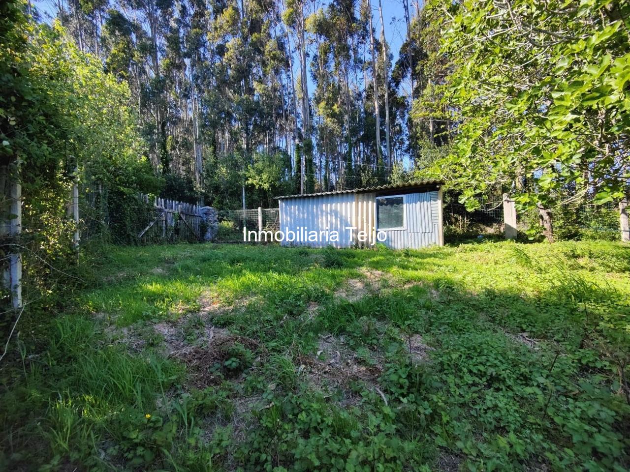 Foto 14 SE VENDE CASA ADOSADA CON FINCA Y BODEGAS EN CEDEIRA