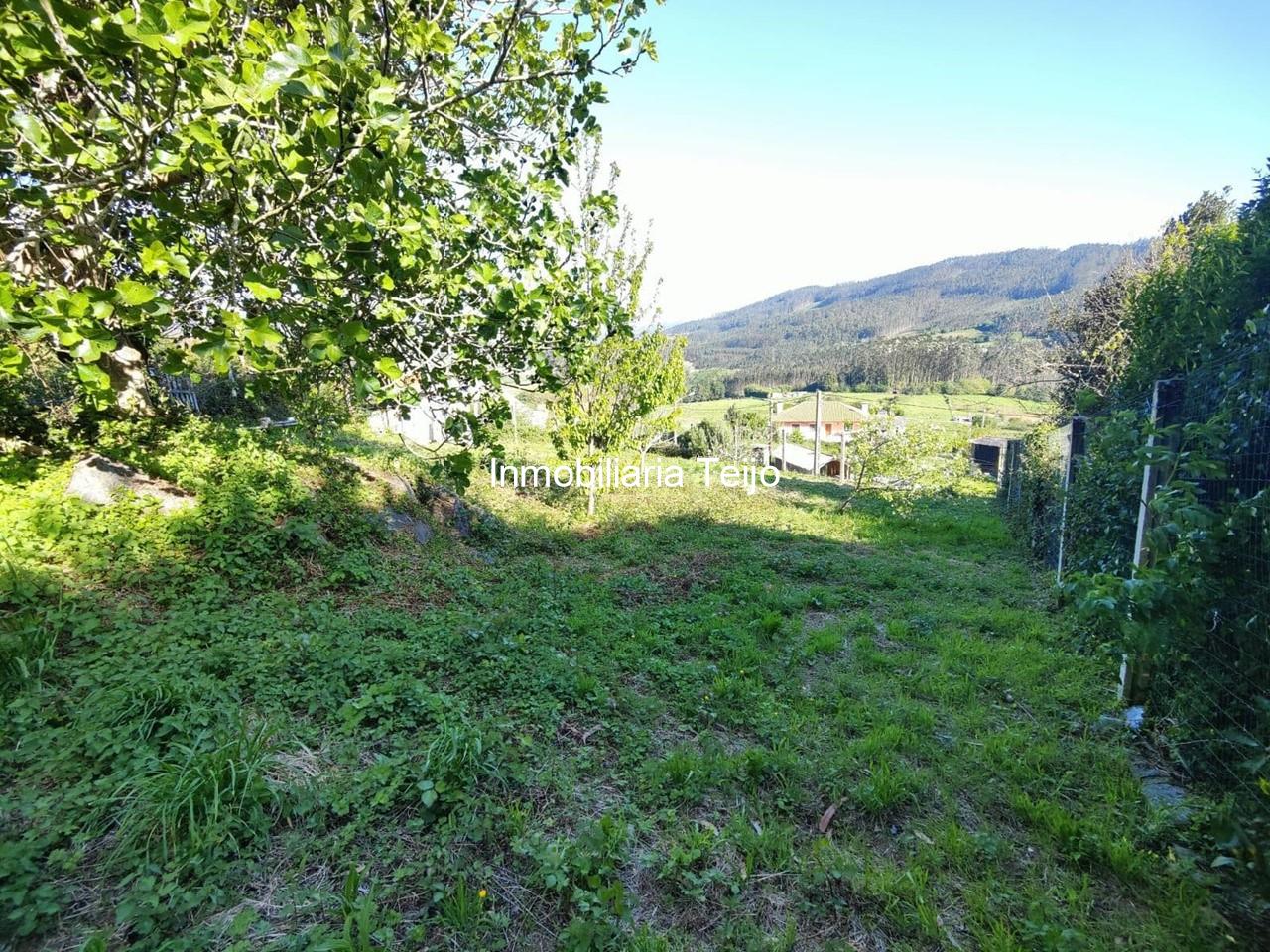 Foto 15 SE VENDE CASA ADOSADA CON FINCA Y BODEGAS EN CEDEIRA