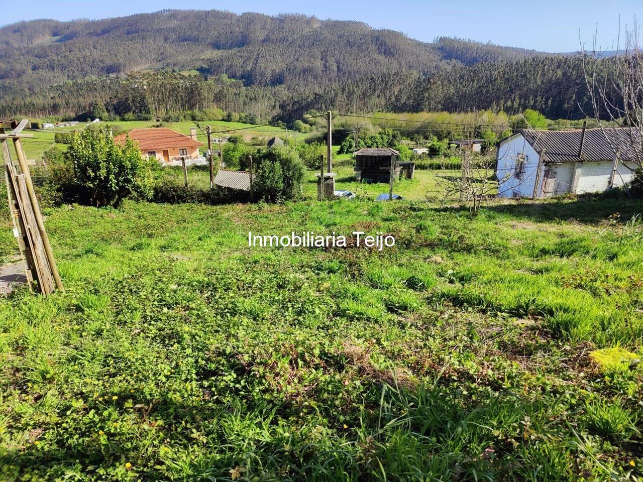 Foto 16 SE VENDE CASA ADOSADA CON FINCA Y BODEGAS EN CEDEIRA