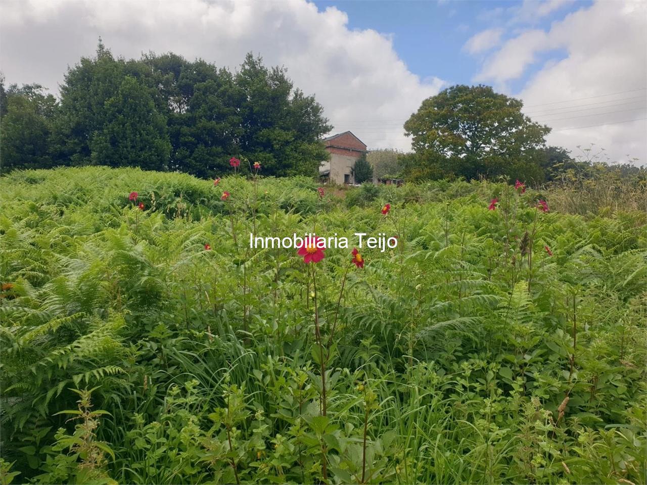 Foto 7 SE VENDE CASA CON BODEGAS AMPLIAS EN CERDIDO