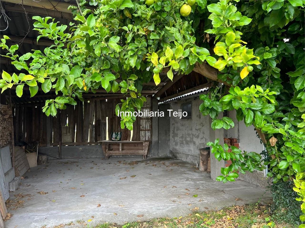 Foto 4 SE VENDE CASA CON BODEGAS EN SEDES