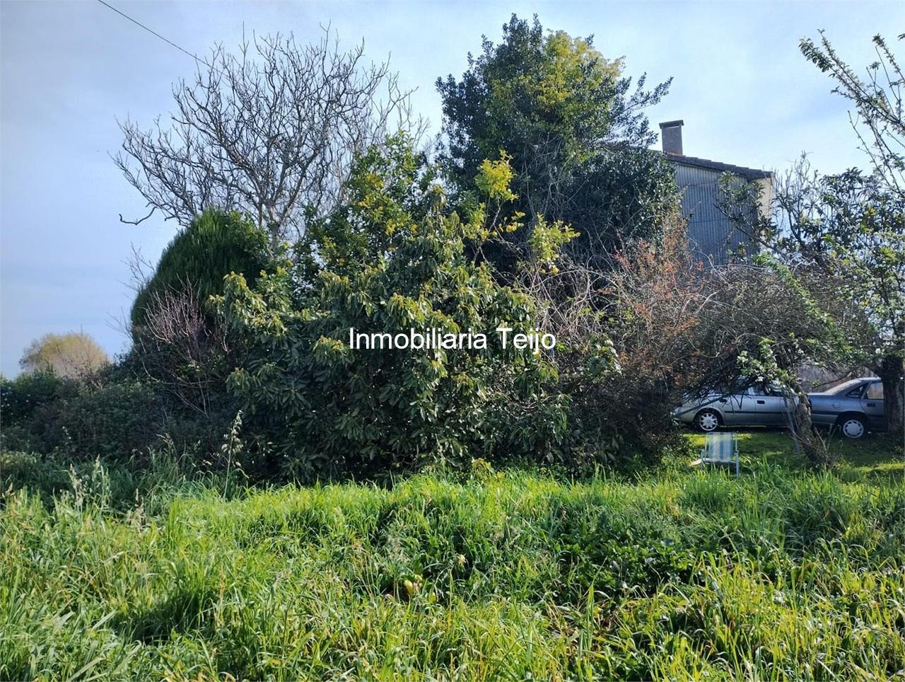 Foto 7 SE VENDE CASA CON FINCA EDIFICABLE EN SANTA CECILIA