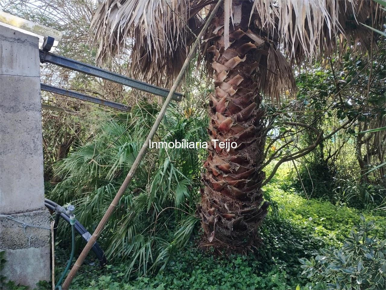 Foto 9 SE VENDE CASA CON FINCA EDIFICABLE EN SANTA CECILIA