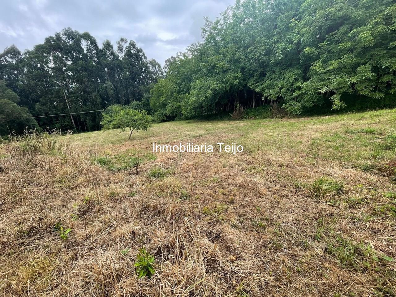 Foto 16 SE VENDE CASA CON FINCA EN PANTÍN