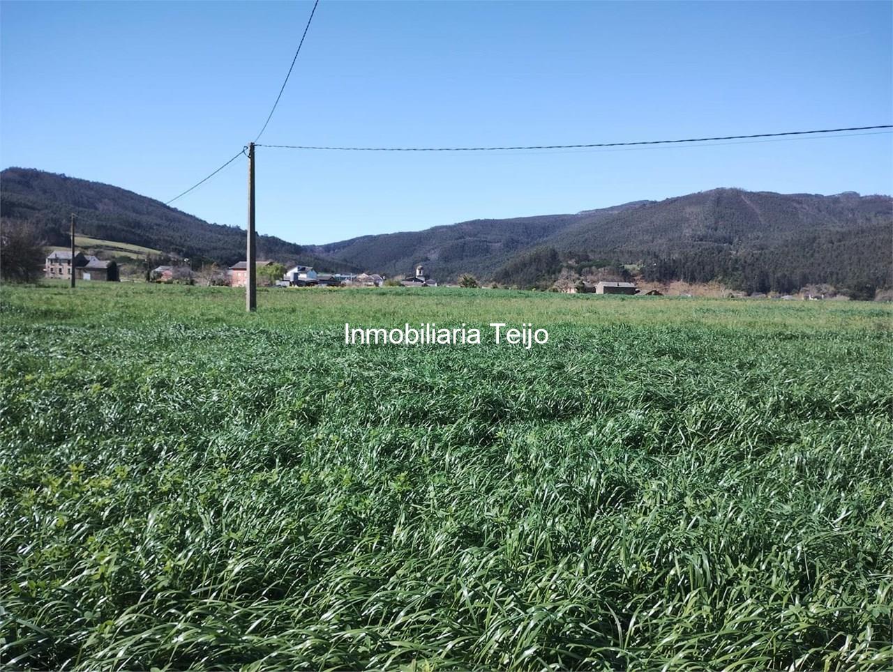 Foto 10 SE VENDE CASA DE PIEDRA CON 10.000 M2 DE FINCA EN LOURENZÁ