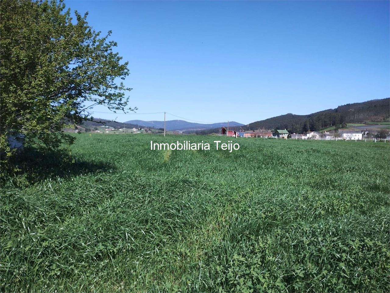 Foto 8 SE VENDE CASA DE PIEDRA CON 10.000 M2 DE FINCA EN LOURENZÁ