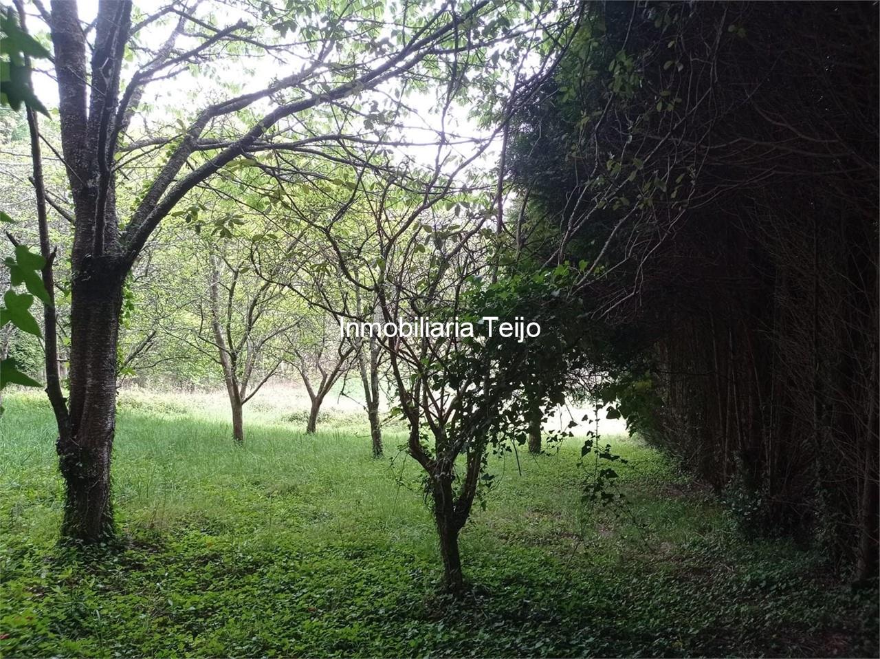 Foto 4 SE VENDE CASA DE PIEDRA EN DOSO - NARÓN