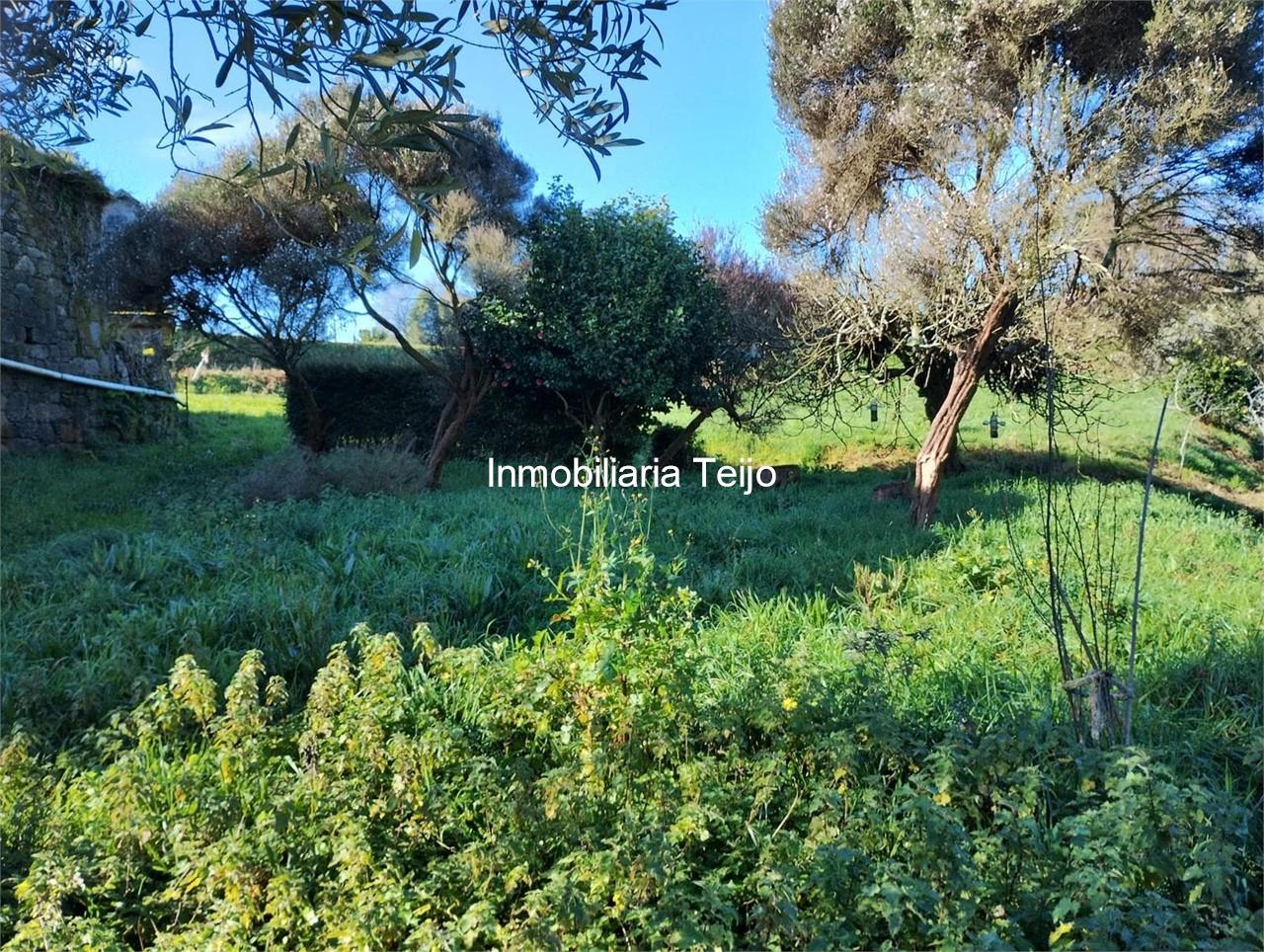 Foto 11 SE VENDE CASA DE PIEDRA EN VILARMAIOR