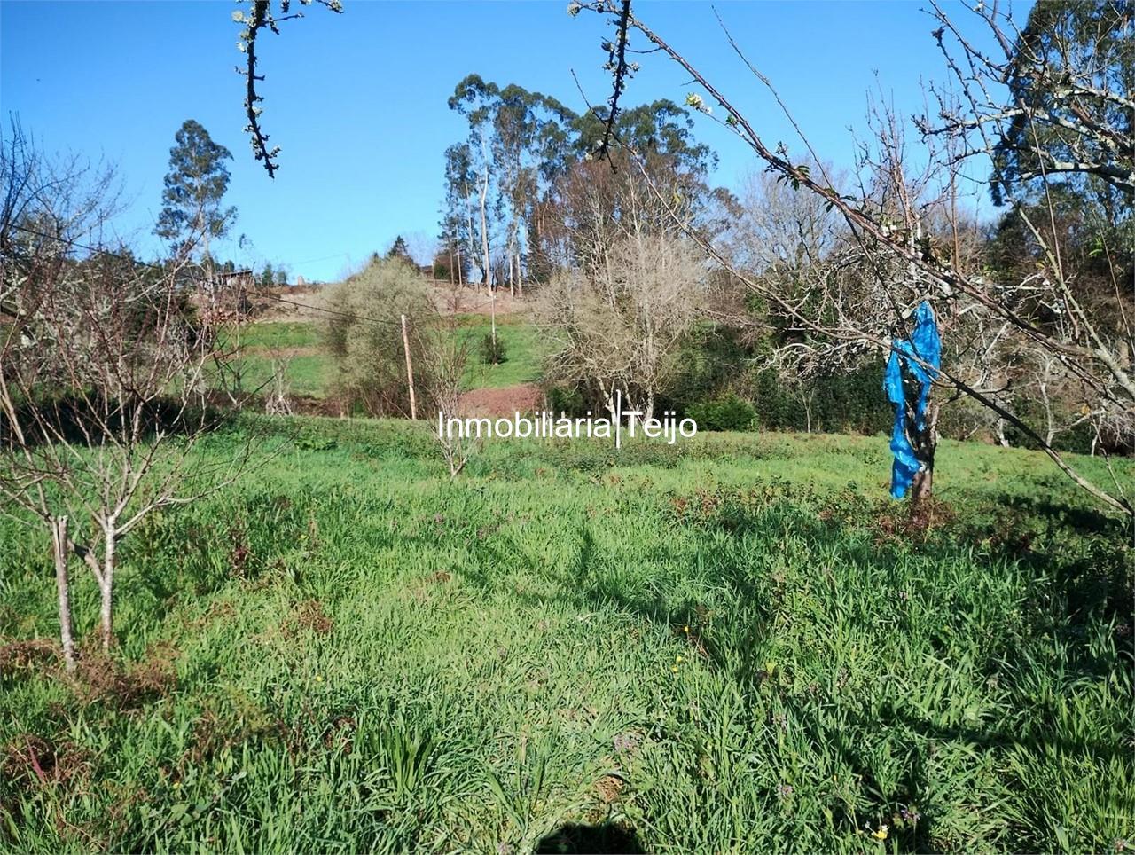 Foto 7 SE VENDE CASA DE PIEDRA EN VILARMAIOR