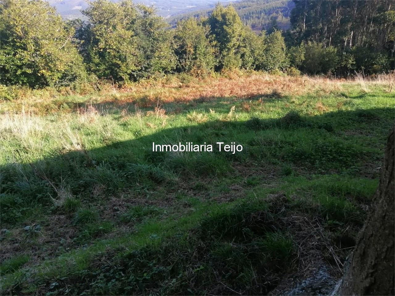 Foto 12 SE VENDE CASA DE PIEDRA PARA REHABILITACIÓN INTEGRAL EN SAN SADURNIÑO