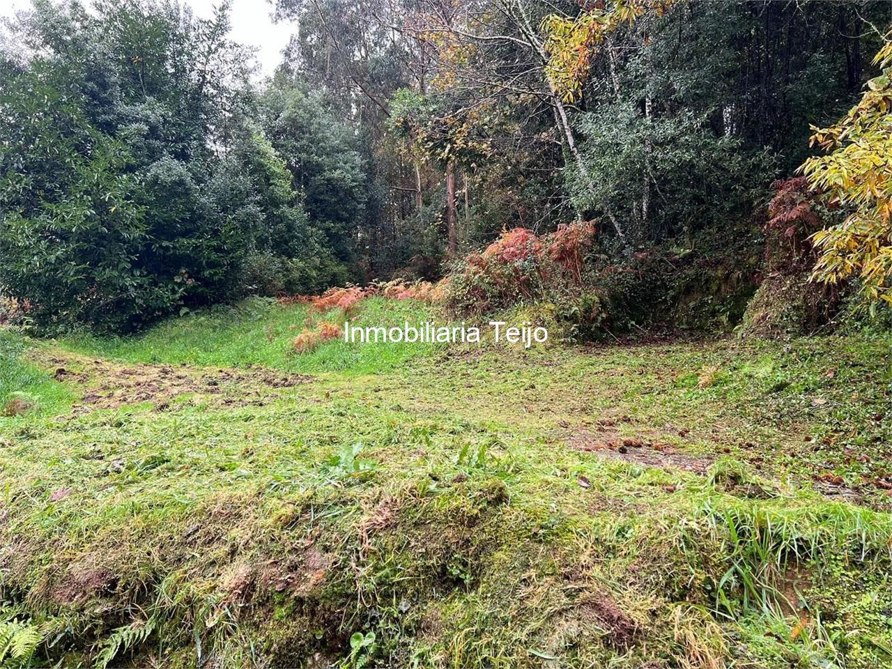 Foto 4 SE VENDE CASA DE PIEDRA PARA REHABILITAR CON TERRENO EN ORTIGUEIRA