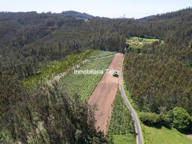 SE VENDE CASA DE PIEDRA PARA REHABILITAR EN CEDEIRA