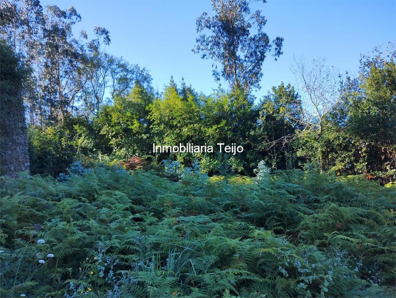 Foto 10 SE VENDE CASA DE PIEDRA PARA REHABILITAR EN CERDIDO