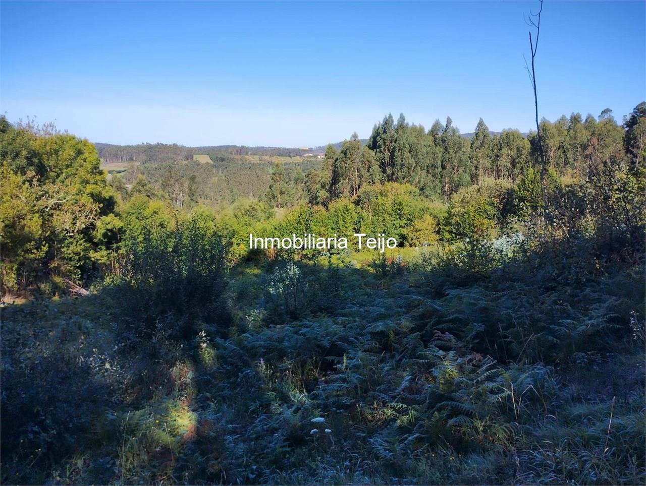 Foto 11 SE VENDE CASA DE PIEDRA PARA REHABILITAR EN CERDIDO