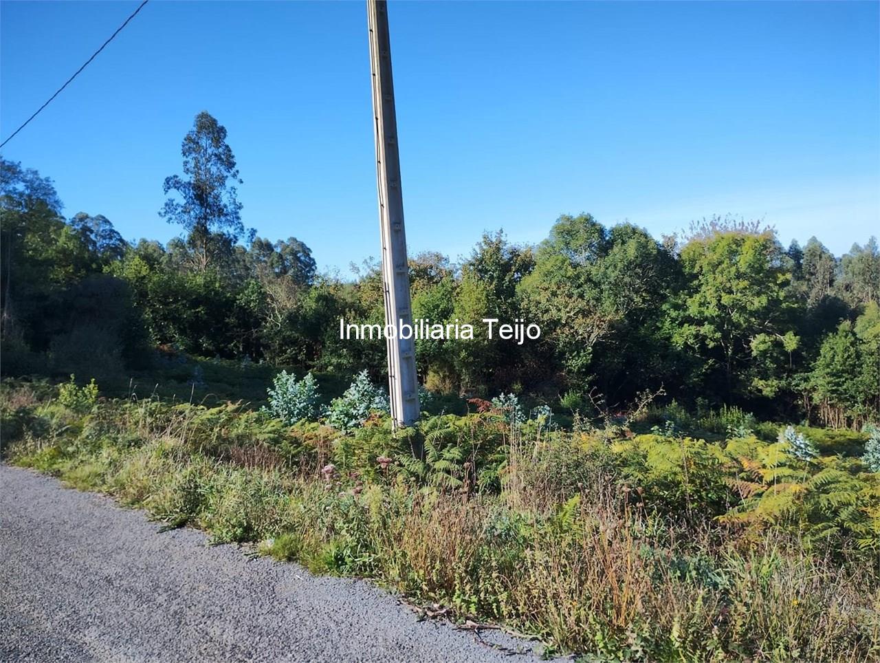 Foto 12 SE VENDE CASA DE PIEDRA PARA REHABILITAR EN CERDIDO