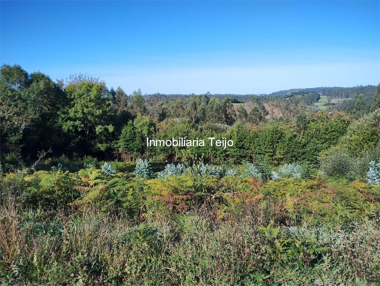 Foto 2 SE VENDE CASA DE PIEDRA PARA REHABILITAR EN CERDIDO