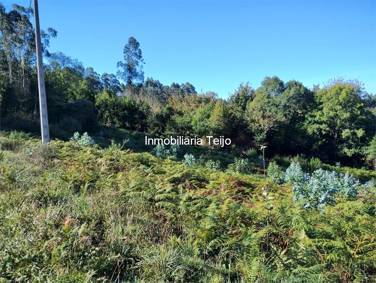 Foto 3 SE VENDE CASA DE PIEDRA PARA REHABILITAR EN CERDIDO