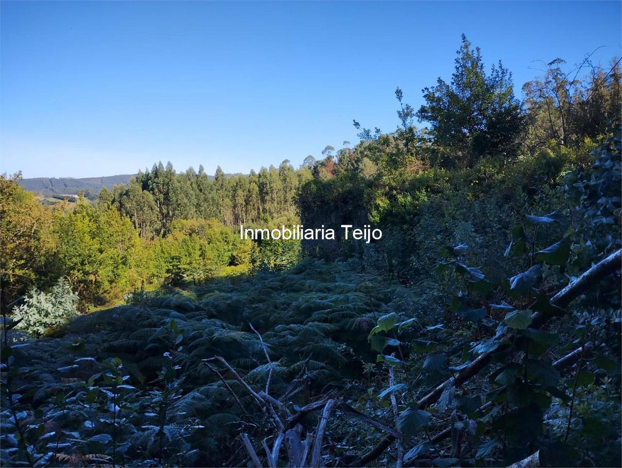 Foto 4 SE VENDE CASA DE PIEDRA PARA REHABILITAR EN CERDIDO