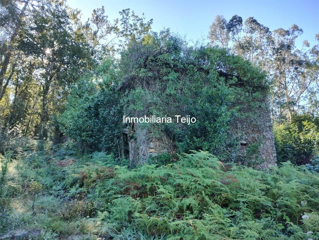 Foto 6 SE VENDE CASA DE PIEDRA PARA REHABILITAR EN CERDIDO