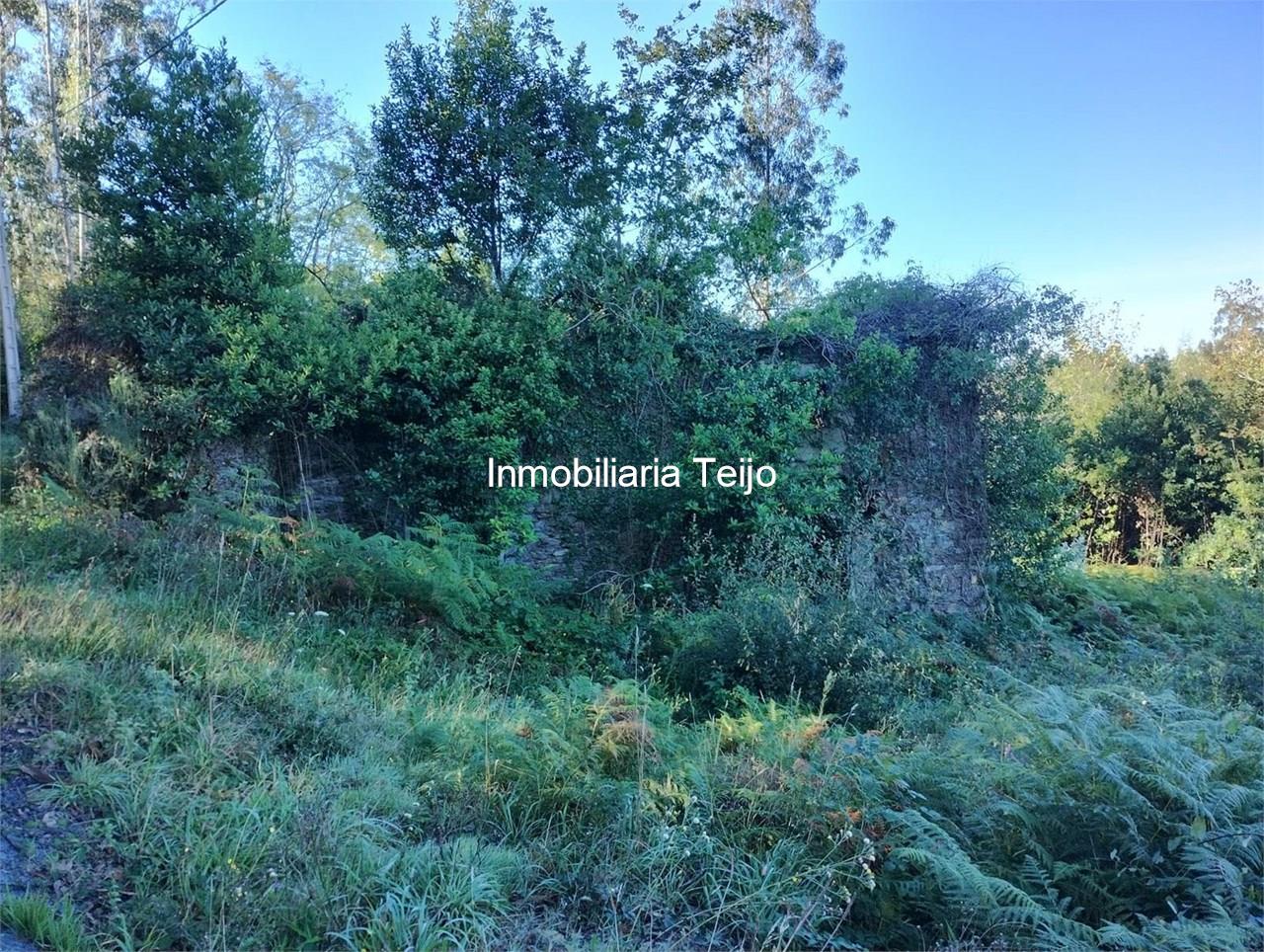 Foto 7 SE VENDE CASA DE PIEDRA PARA REHABILITAR EN CERDIDO