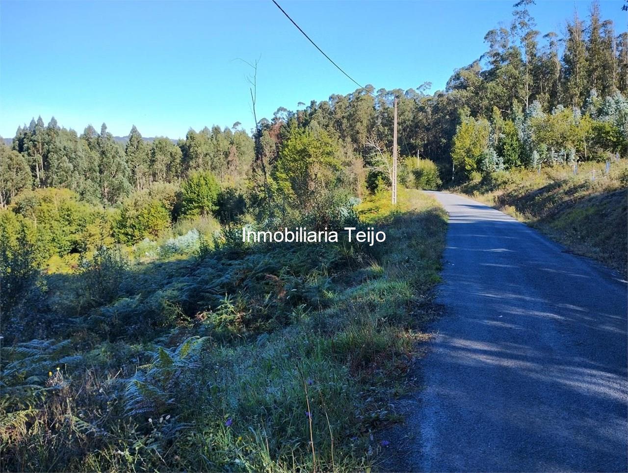 Foto 9 SE VENDE CASA DE PIEDRA PARA REHABILITAR EN CERDIDO