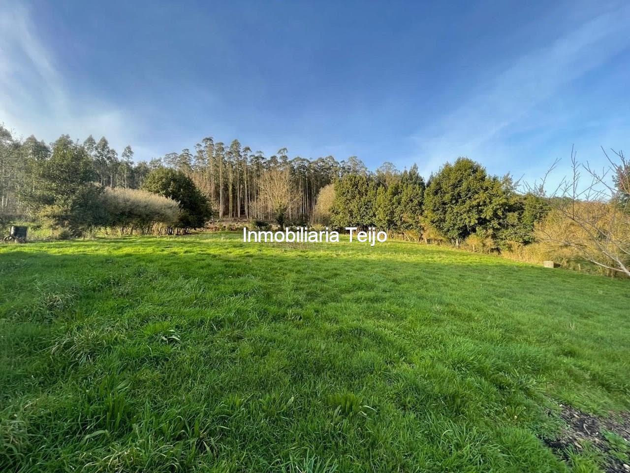 Foto 27 SE VENDE CASA DE PIEDRA PARA REHABILITAR EN MOECHE CON FINCA URBANA DE 2500 M2