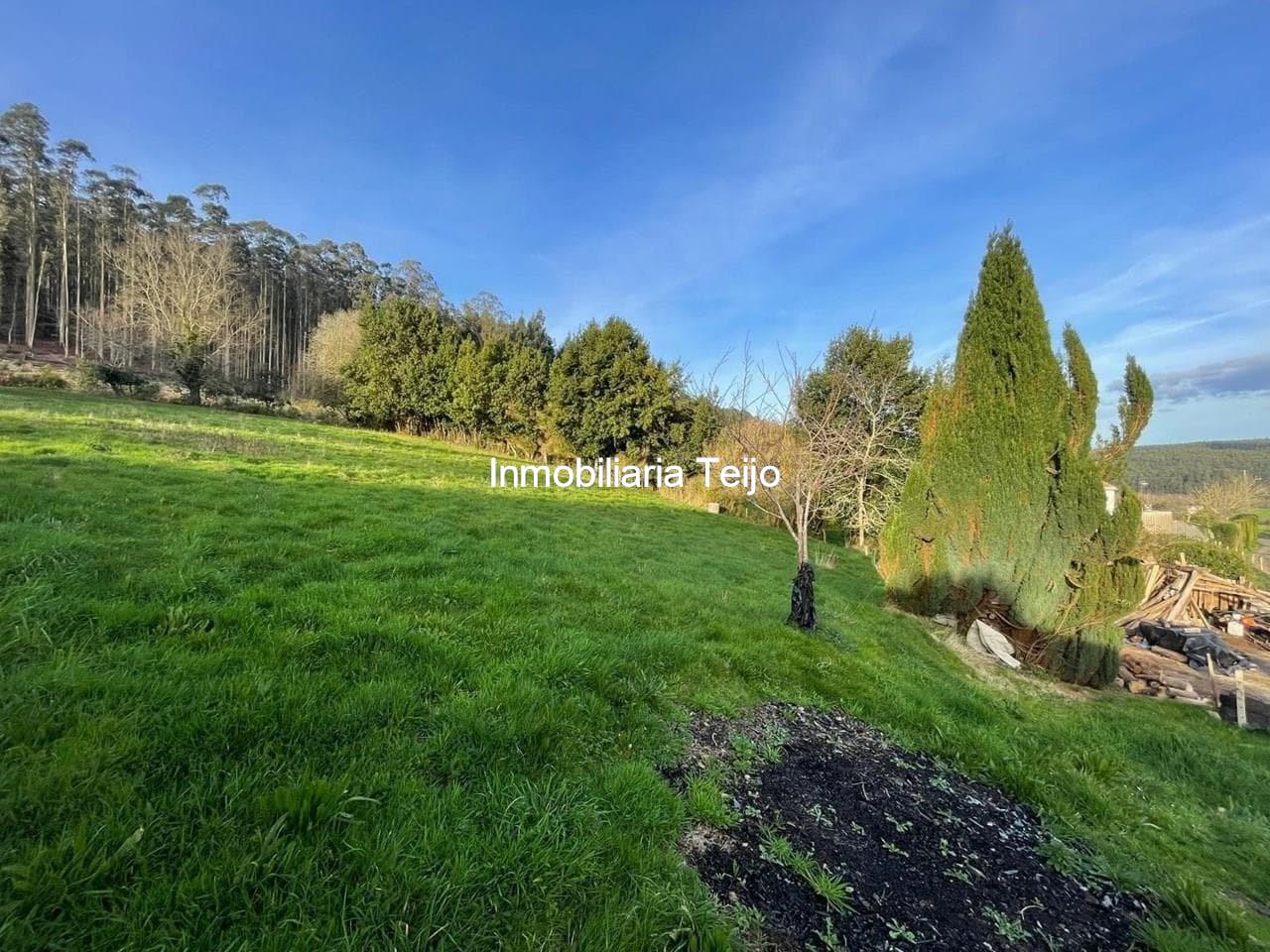 Foto 28 SE VENDE CASA DE PIEDRA PARA REHABILITAR EN MOECHE CON FINCA URBANA DE 2500 M2