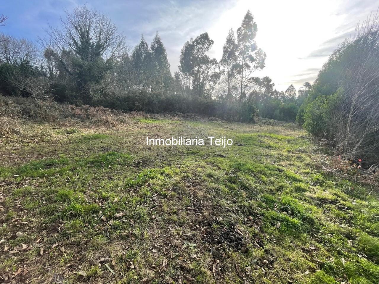 Foto 15 SE VENDE CASA DE PIEDRA PARA REHABILITAR EN SAN SADURNIÑO CON PISO FUNDIDO Y FINCA
