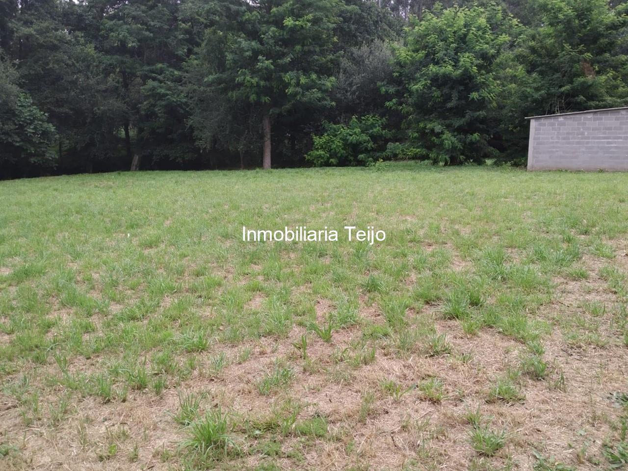 Foto 12 SE VENDE CASA EN EL VAL 