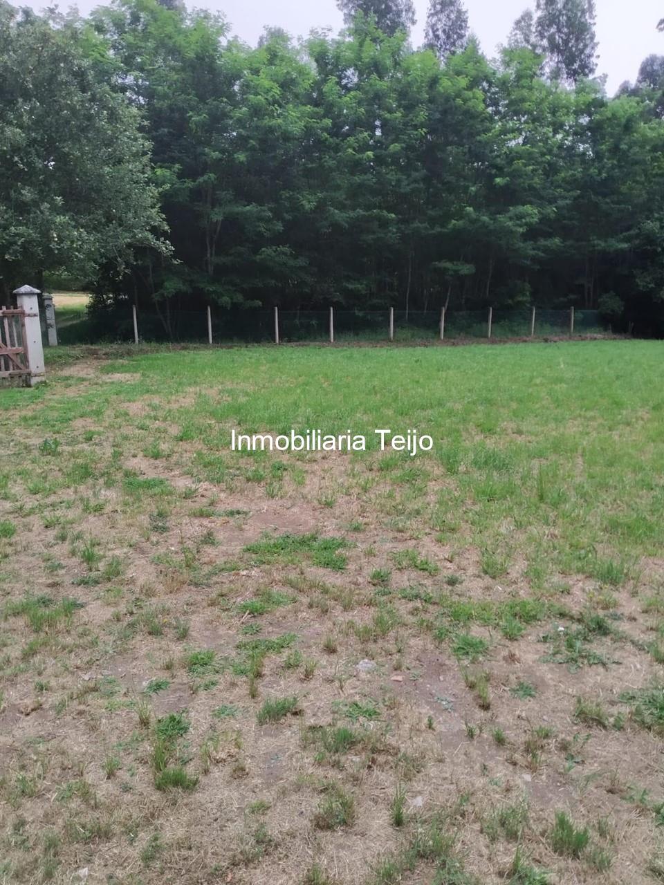 Foto 4 SE VENDE CASA EN EL VAL 