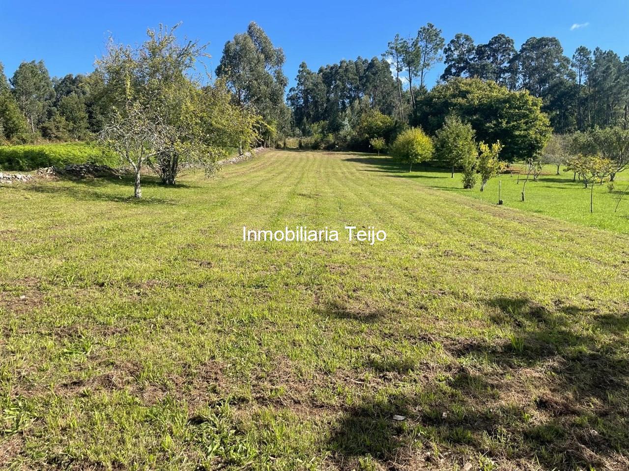 Foto 20 SE VENDE CASA GRANDE CON FINCA Y ANEXOS EN FENE (NO PRECISA REHABILITACIÓN)