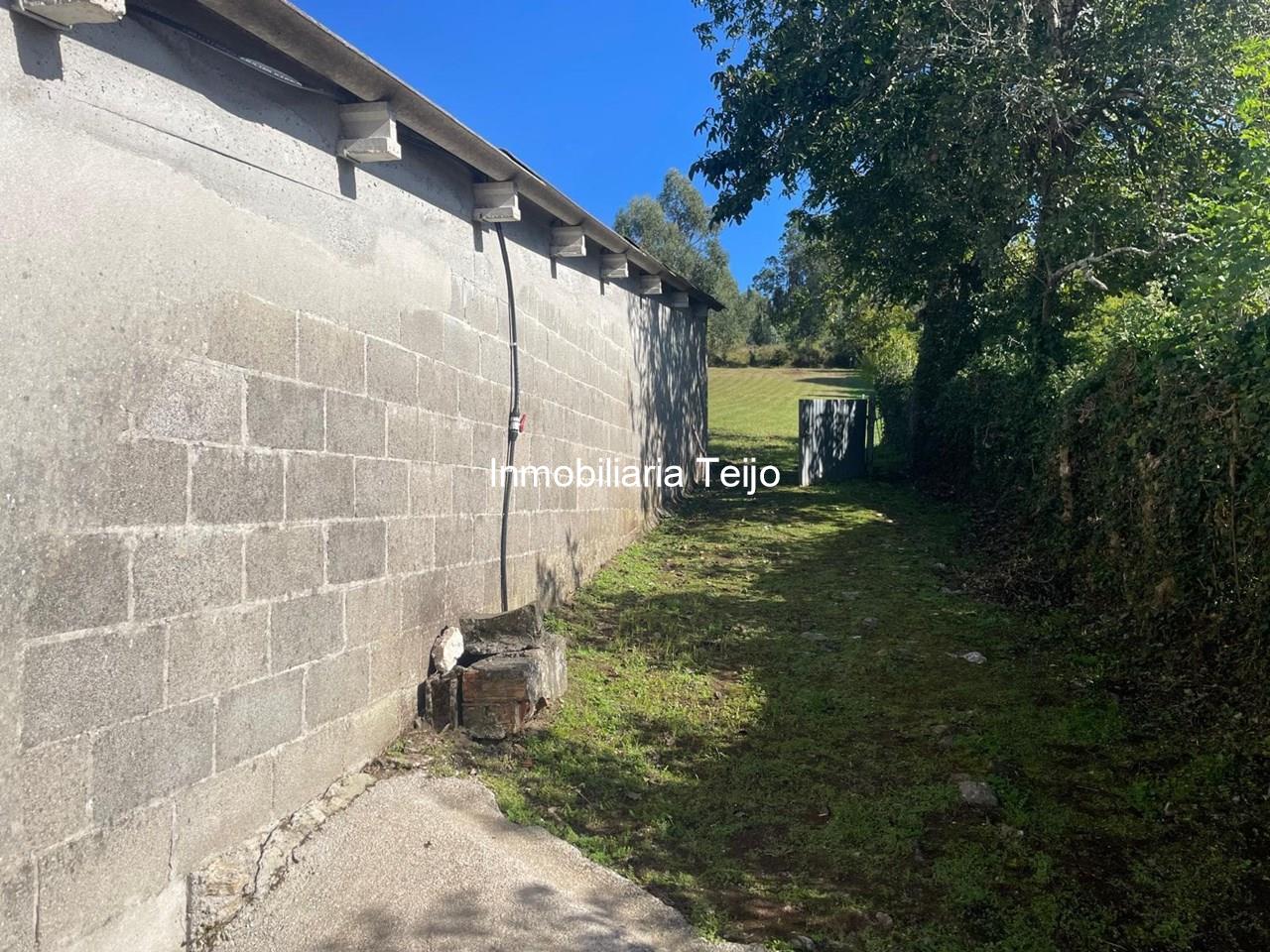 Foto 21 SE VENDE CASA GRANDE CON FINCA Y ANEXOS EN FENE (NO PRECISA REHABILITACIÓN)