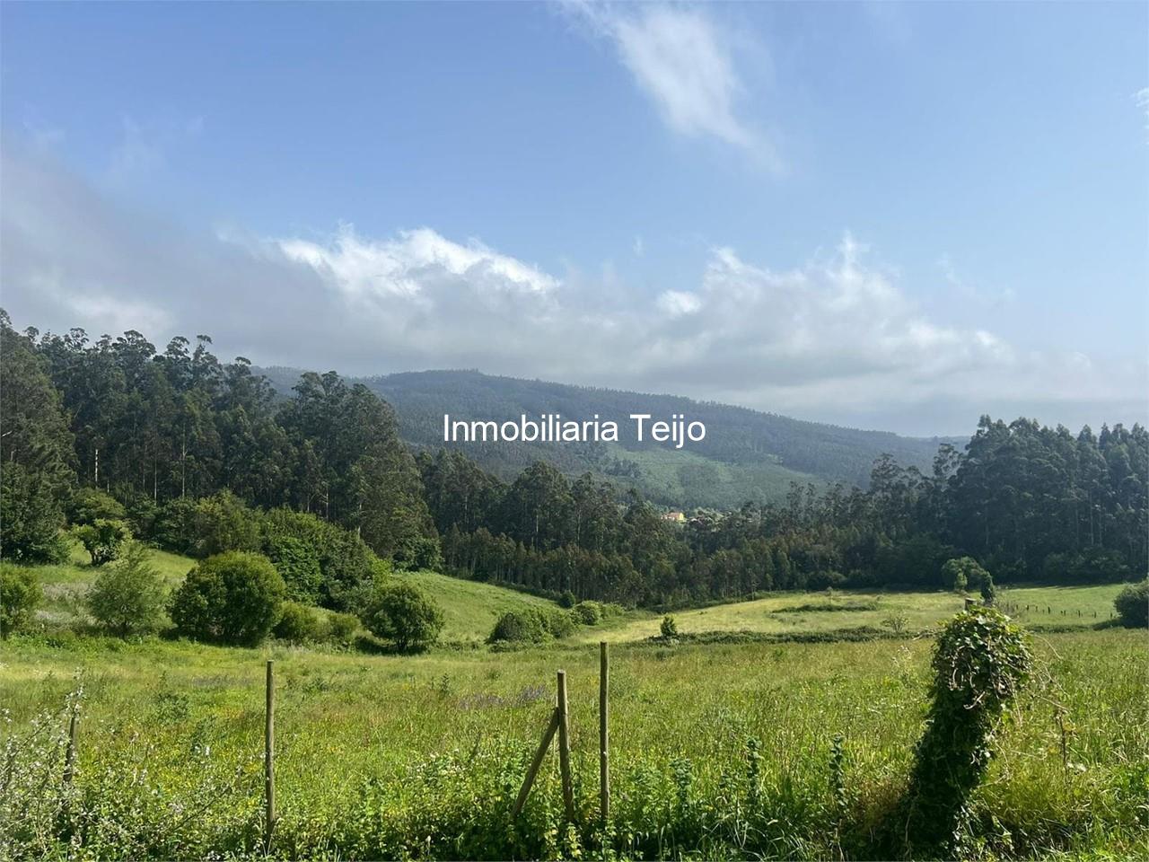 Foto 5 SE VENDE CASA INDEPENDIENTE EN CEDEIRA