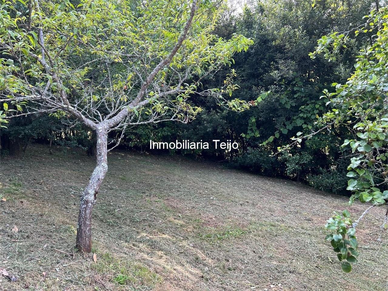 Foto 5 SE VENDE CASA INDEPENDIENTE EN EL VAL