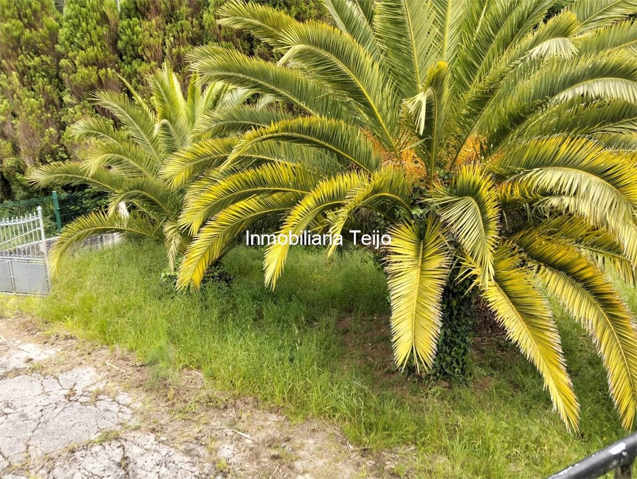 Foto 10 SE VENDE CASA NO PAREADA CON FINCA PARA REHABILITAR EN CEDEIRA, SAN ROMÁN