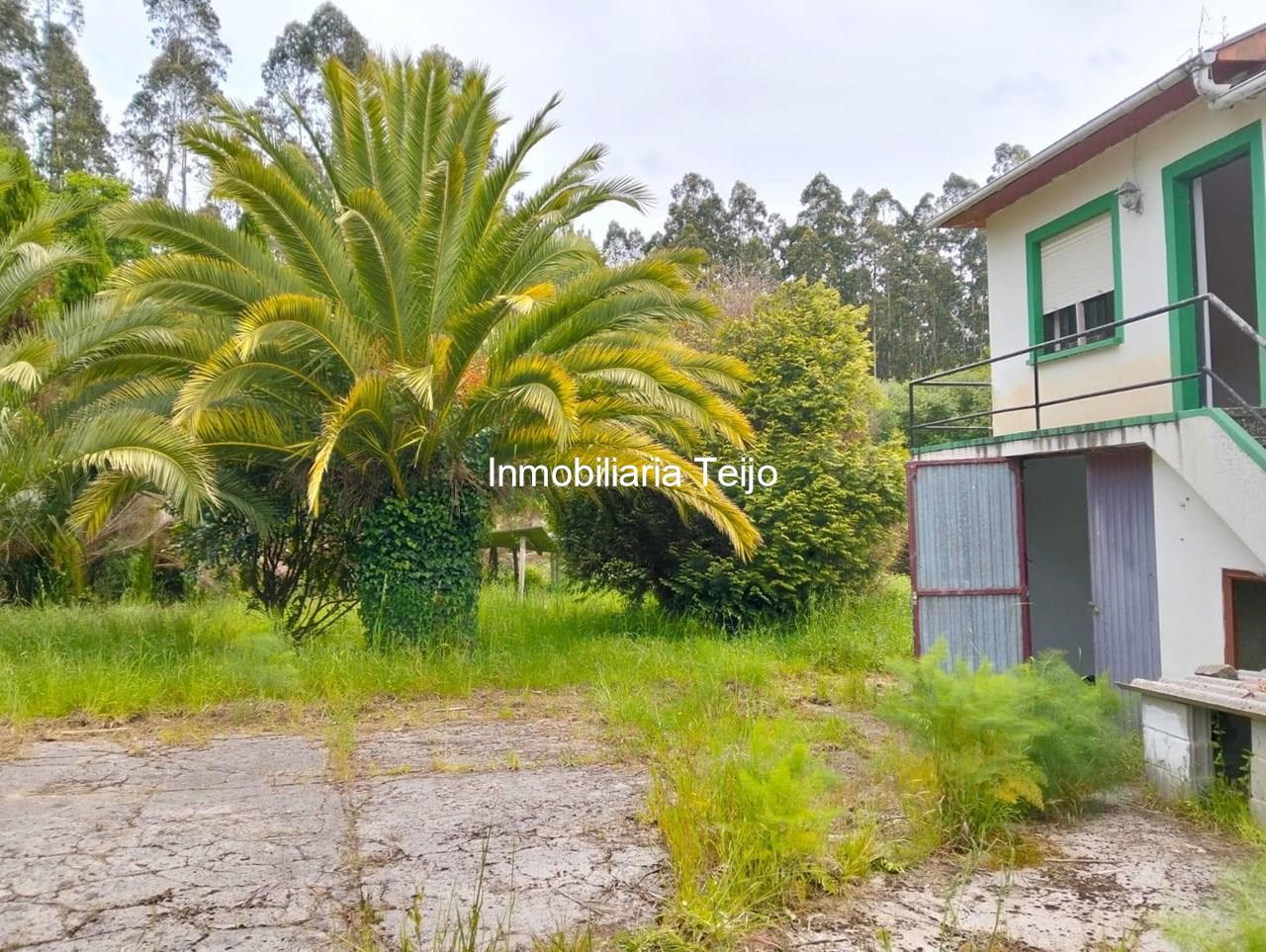 Foto 3 SE VENDE CASA NO PAREADA CON FINCA PARA REHABILITAR EN CEDEIRA, SAN ROMÁN