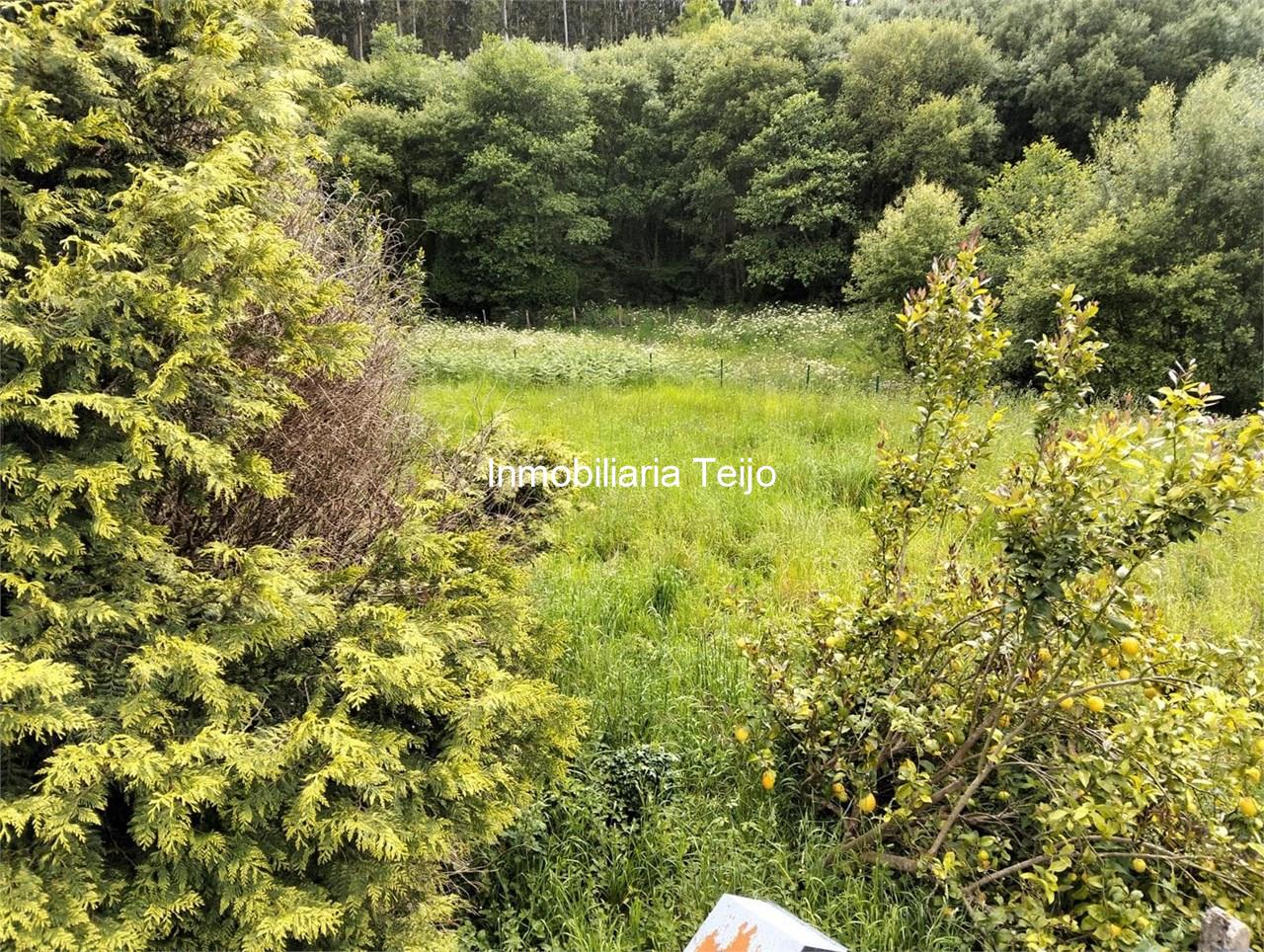 Foto 9 SE VENDE CASA NO PAREADA CON FINCA PARA REHABILITAR EN CEDEIRA, SAN ROMÁN