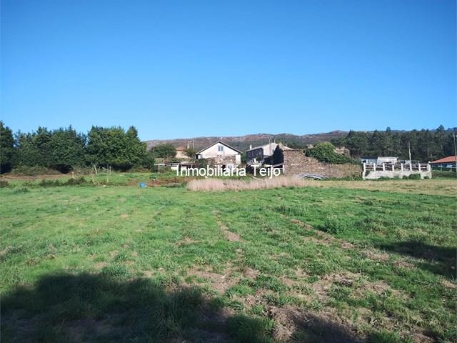 SE VENDE CASA POR REFORMAR CON FINCA EN NEDA