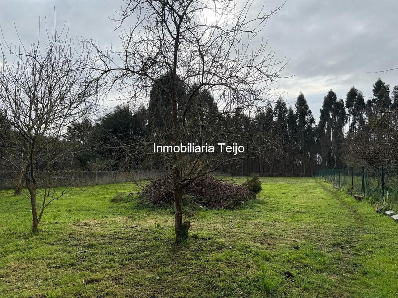 Foto 18 SE VENDE CASA TOTALMENTE REFORMADA EN EL VAL FINCA LLANA